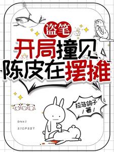  盗笔：开局撞见陈皮在摆摊